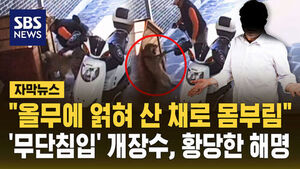 [자막뉴스] "올무에 얽혀 산 채로 몸부림" '무단침입' 개장수, 황당한 해명