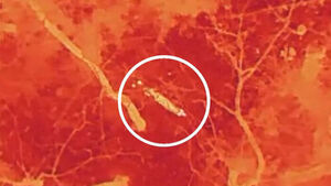 땅굴 파고 숨었나&hellip;"놀라게 하지마라" 확 바뀐 수색법