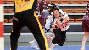 SK, 서울시청 꺾고 핸드볼 H리그 사상 최초로 20연승