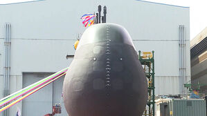 잠수함 화재로 고립된 60대 근로자, 33시간만에 시신 수습