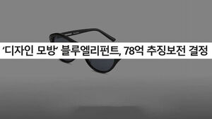 '제2의 젠몬' 블루엘리펀트 결국&hellip;대표 구속기소