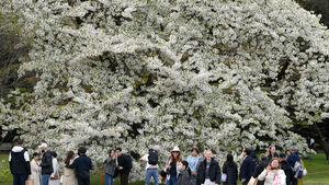 중국인, 일왕 거처 무단 진입&hellip;지난달 자위대 장교는 중국대사관 침입