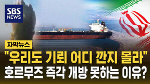 [자막뉴스] "우리도 기뢰 어디 깐지 몰라" 호르무즈 즉각 개방 못하는 이유?