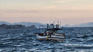 부산 앞바다 어선서 50대 선장 실종&hellip;해경 수색작업 총력