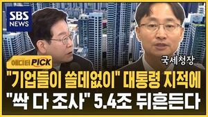 [에디터픽] 법인이 왜 이런 집을?&hellip;"명백한 탈세" 싹 다 잡는다