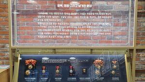 부적절 정부 포상 전면 재검토&hellip;취소 사유 공개 확대&middot;환수 강화