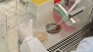 프랜차이즈 3곳서 식중독균&hellip;마라탕 '위생 경고등'