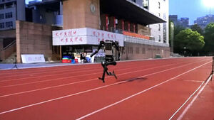 100m를 10.1초에 주파&hellip;이 정도면 "우사인 볼트급"