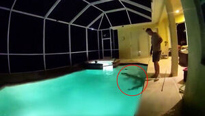 "누군가 침입" 2.7m 거대한 몸&hellip;다가갔더니