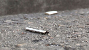 편의점 태운 '담배꽁초 불씨'&hellip;"인과관계 없어" 부인했으나 처벌