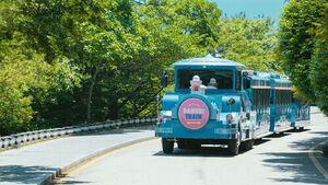 부산 태종대 다누비열차 운행 잠정 중단&hellip;사고로 정밀 점검