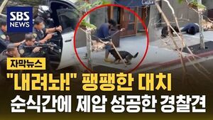 0414 자막뉴스 경찰견