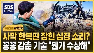 [에디터픽] 사막 한복판 희미한 심장 소리 잡았다?..꽁꽁 숨겨온 기술 "뭔가 수상해"