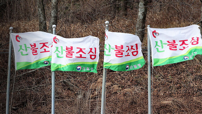 경북 영양 산불 1시간 만에 주불 진화…헬기9대 투입해 신속대응