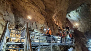삼척 환선굴 내 전망대서 60대 관광객 추락해 숨져