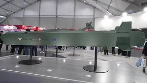 국산 공대지미사일 '천룡' 개발 시험 중 서해 추락&hellip;"인명 피해 없어"