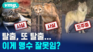 비디오머그_동물은 나가고 싶다 잇따른 탈출 누구 잘못