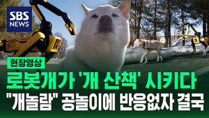 [현장영상] 개 산책 시키는 로봇개, 공놀이 하려는데 공 안 주워오자