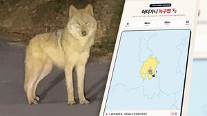 수색 장기화&hellip;시민들이 추적하는 '늑구맵'까지 등장했다