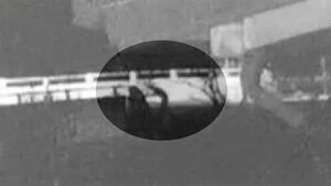 한밤중 다리 앞 수상한 남성&hellip;전국서 '1.9톤' 싹쓸이했다