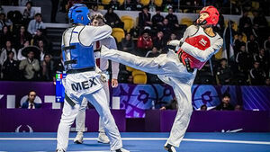 태권도 하지웅, 세계청소년선수권 59kg급 은메달