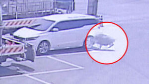 '쿵' 기절했다가 벌떡&hellip;공포의 난동 끝에 결국