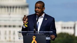 미국 버지니아주 전 부지사, 아내살해 후 극단적 선택