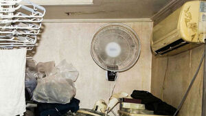 "일어나" 동거녀 시신과 셀카&hellip;두집 살림한 남성 '소름'