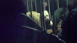 껌껌한 도로에 가만히&hellip;"온몸에 상처" 처참한 광경