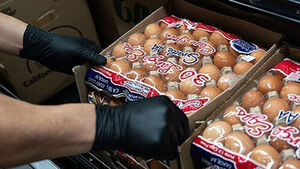 미국서 계란값 담합 있었나&hellip;"미국 법무부, 반독점소송 추진"