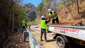 설치한 지 1년 만에 떼죽음&hellip;멧돼지 막으려다 불똥 튀자