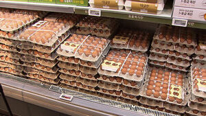 '한 판 7천 원' 고공행진에&hellip;태국산 달걀 첫 시판