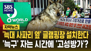 [자막뉴스] 3천300억 들여 오월드 재창조 계획&hellip;'늑구' 탈출 사태로 '전면 재검토' 지적 잇따라