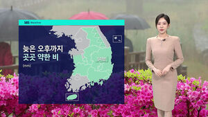 [날씨] 절기 '곡우' 봄비&hellip;황사 유입 "마스크 챙기세요"