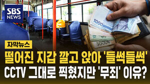 [자막뉴스] 떨어진 지갑 깔고 앉아 '들썩들썩'&hellip;CCTV 그대로 찍혔지만 '무죄' 이유?
