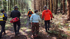 "고사리 꺾다 길 잃고 뱀에 물리고" 제주 봄철 안전사고 잇따라