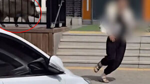 운전 도중 쉬려다가 기겁&hellip;"간신히 피했다" 휴게소 발칵