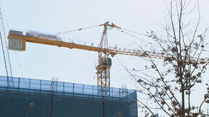 "월 369만 원 받는다, 중장년층서 인기" 자격증 뭐길래