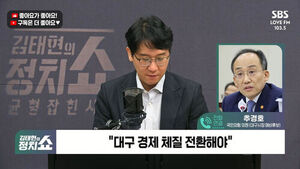 [정치쇼] 추경호 "장대표 유세지원? 본인 판단&hellip;미국행 애썼지만 SNS사진 아쉬워"