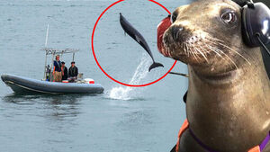 '기뢰 사냥꾼' 바다에 푼다&hellip;미군이 준비한 '히든 카드' [자막뉴스]