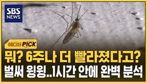 [에디터픽] 하루 걸리던 걸 1시간 안에&hellip;'모기 완벽 분석' 나선다