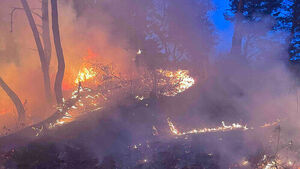 강원도 영월 야산서 불&hellip;대응 1단계 발령