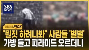 [에디터픽] "뭔짓 하려나봐" 사람들 '벌벌'..가방 들고 피라미드 오르더니