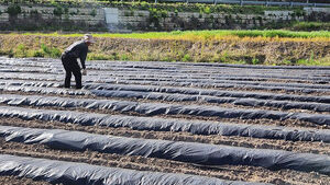 "밭두둑에 씌울 비닐이 없어요"&hellip;영농철 앞두고 농민 '시름'