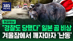 [현장영상] "경찰까지 물렸다" 겨울잠에서 깨어난 곰에 일본 공포 확산