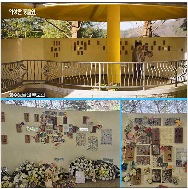 이상한 동물원 '추모관' 캡처