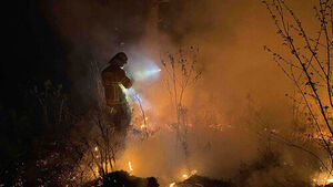 행안장관, '강풍&middot;건조' 강원 영동&middot;경북에 산불 방지 특별 지시