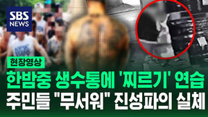 "무서워서 못 살겠다" 주민들 공포 최고조&hellip;21년 만에 검거된 범죄 단체 징역형 [현장영상]