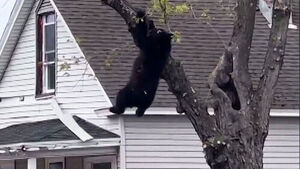 위태롭게 '대롱대롱'&hellip;지켜보던 사람들 식겁