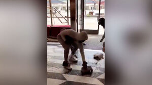 속수무책으로 다 털린다&hellip;"요즘 기승" 발칵